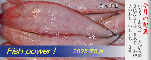 Ԑ㕽