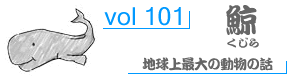 vol101_くじら